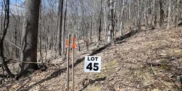 Image 4 Image 4