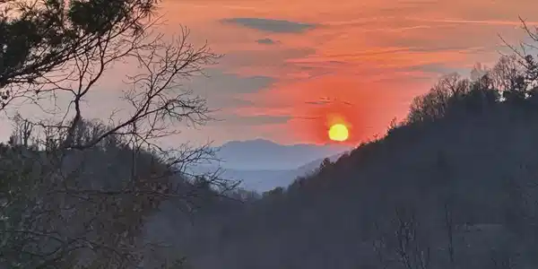 Image 4 Image 4