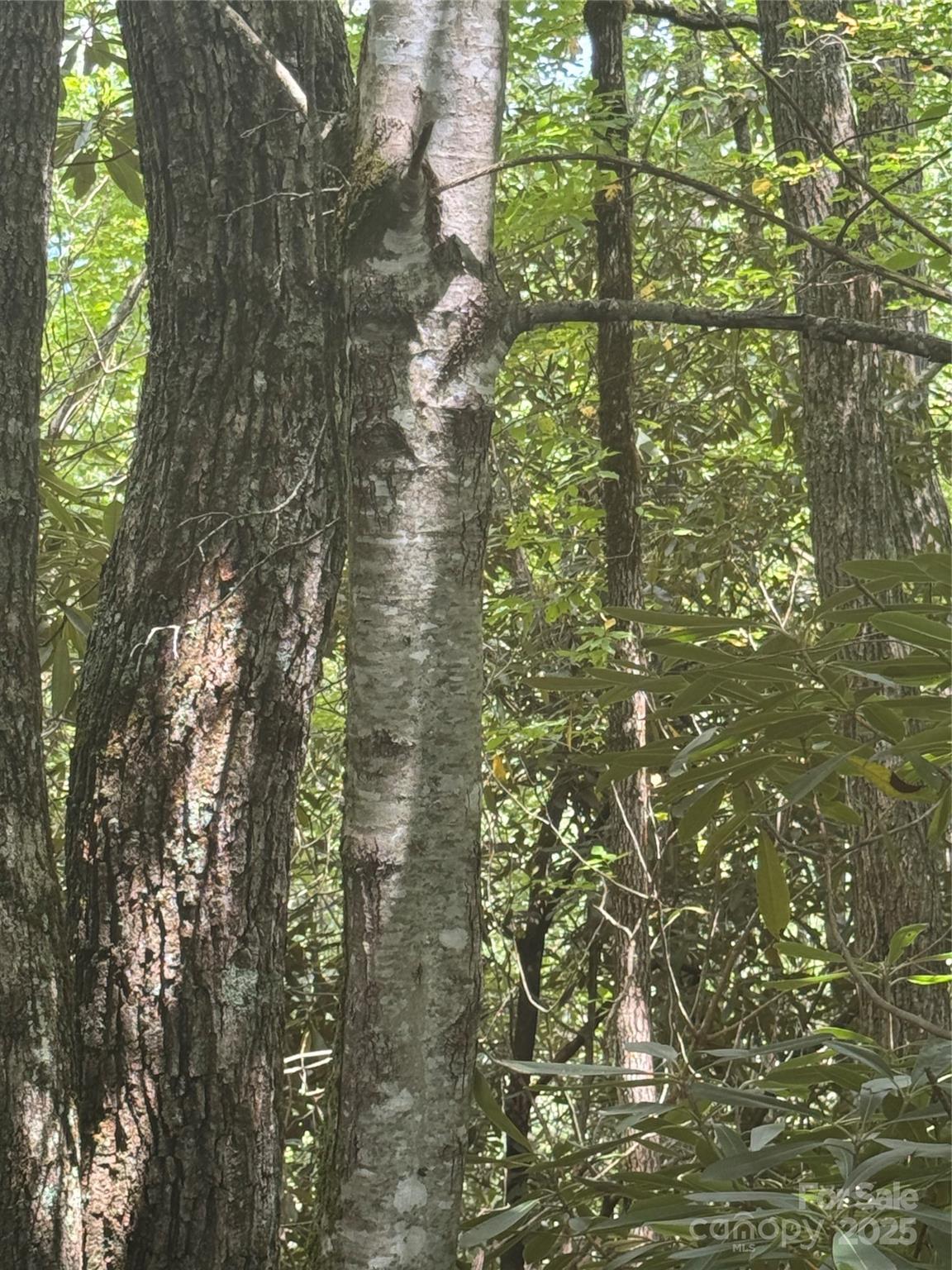 Image 3 Image 3