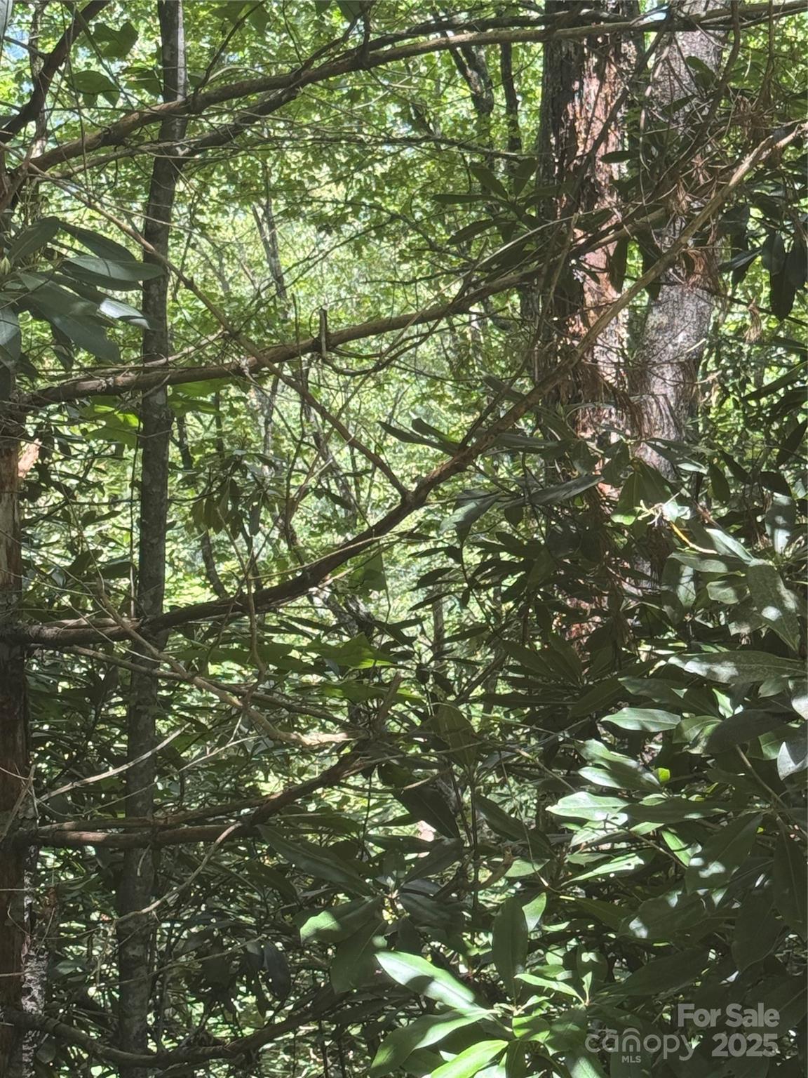 Image 4 Image 4