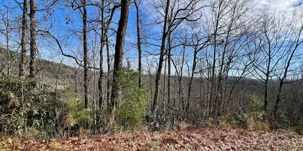 880 Ivy Lane