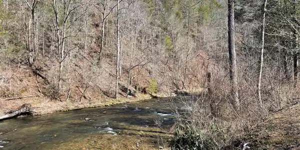 Image 3 Image 3