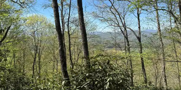 Image 2 Image 2