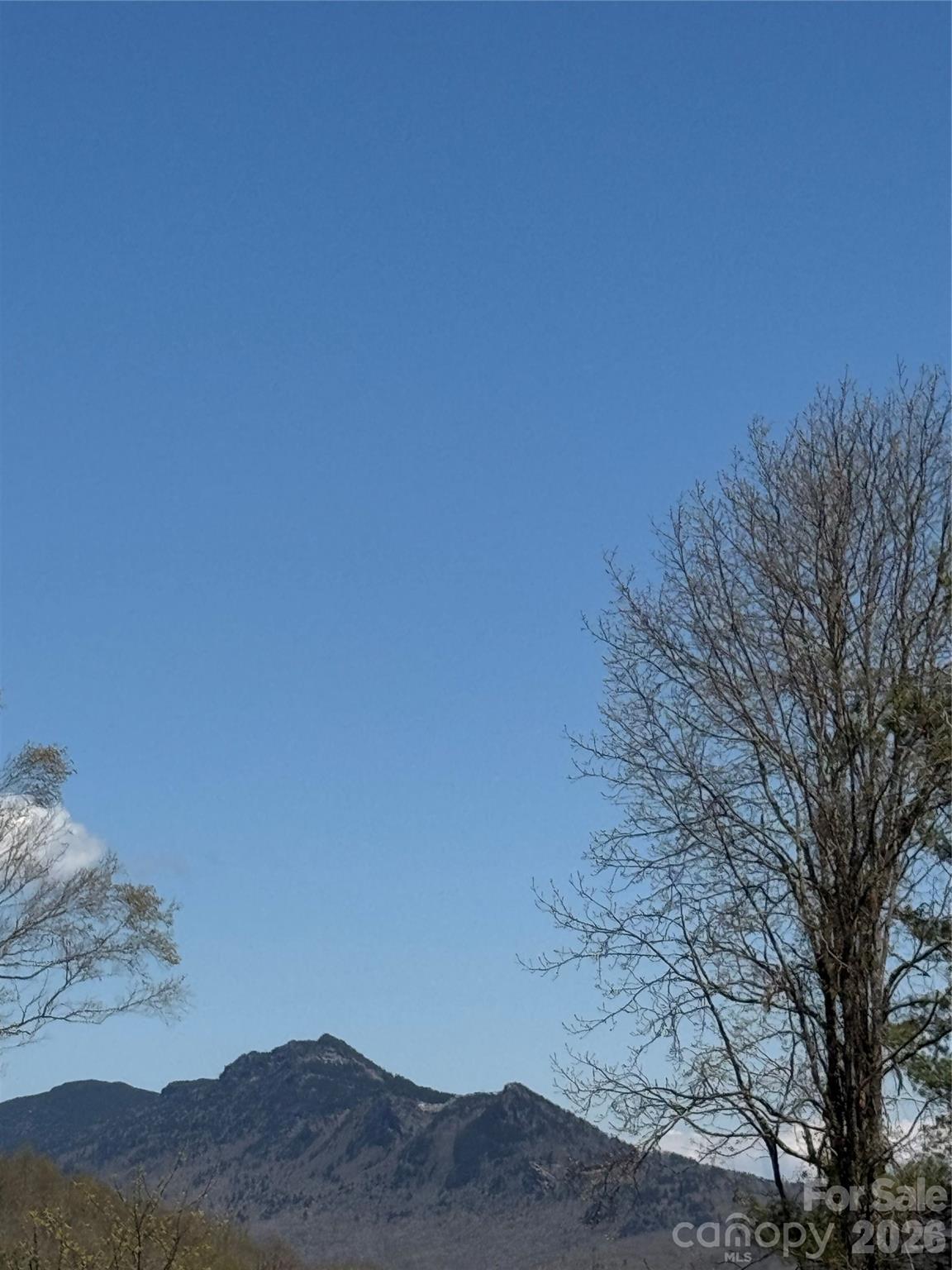 Image 4 Image 4