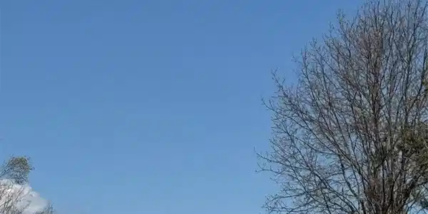 Image 4 Image 4