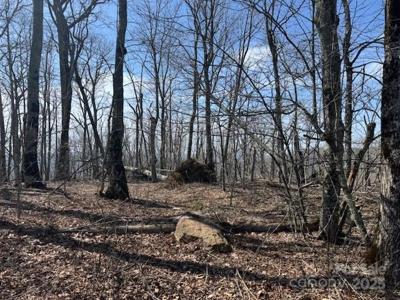 389 McKinney Gap Road