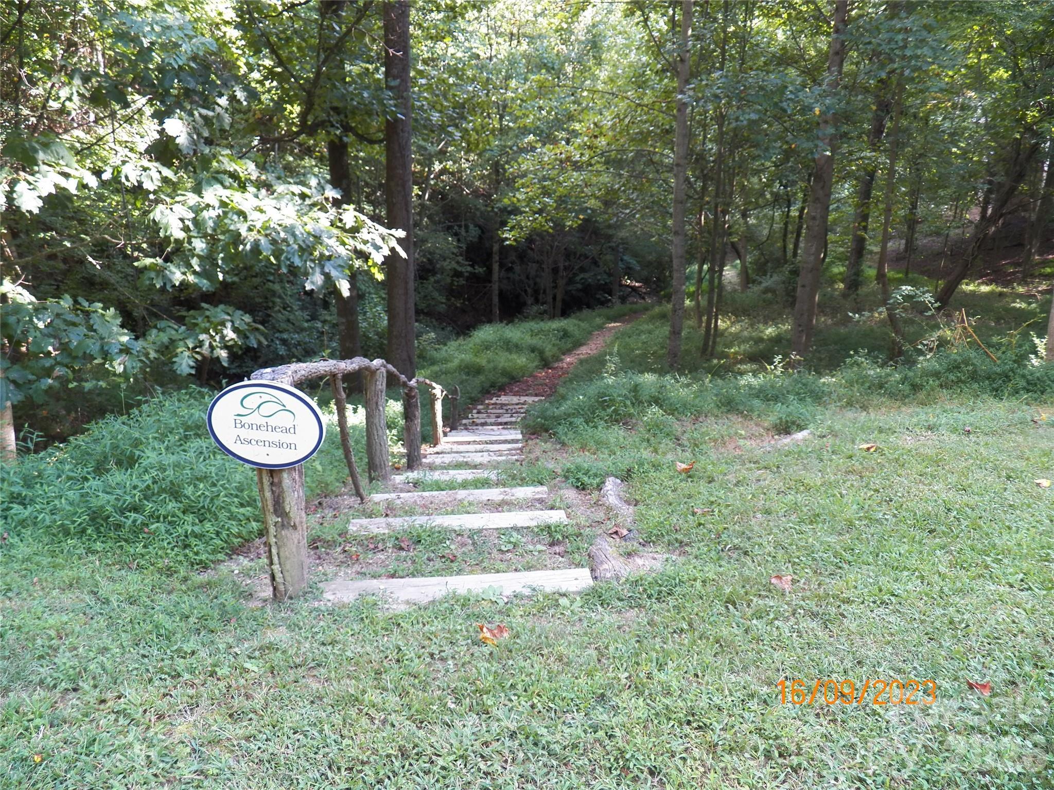 Image 3 Image 3