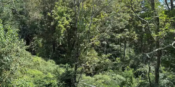 Image 3 Image 3