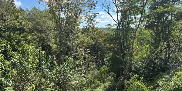 Image 4 Image 4
