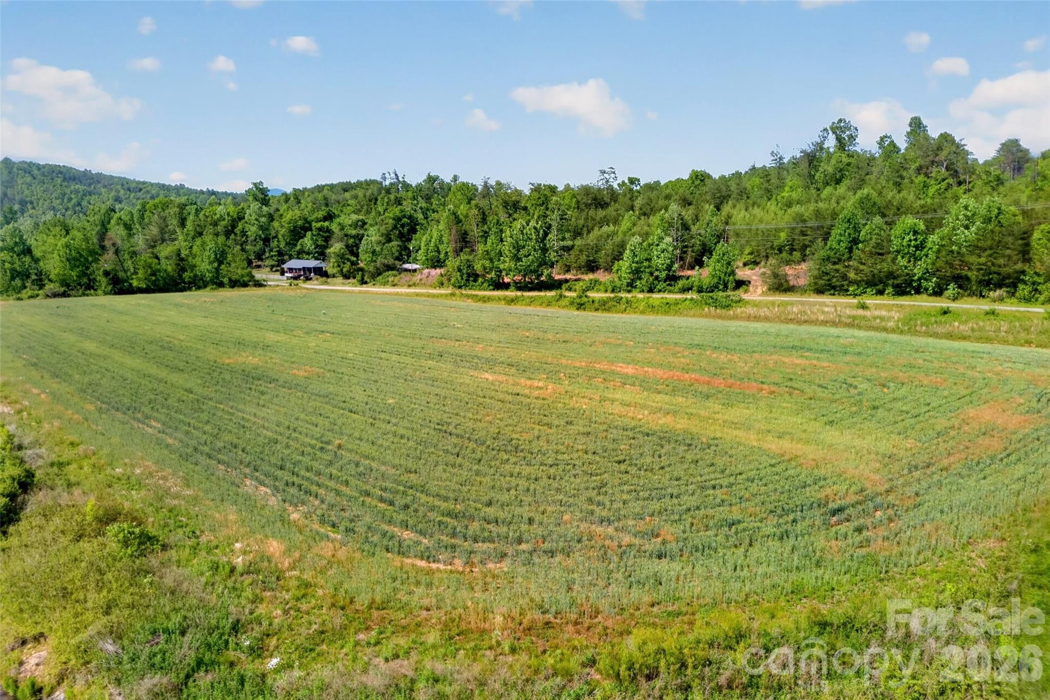 Image 1 Image 1