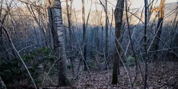 Image 2 Image 2