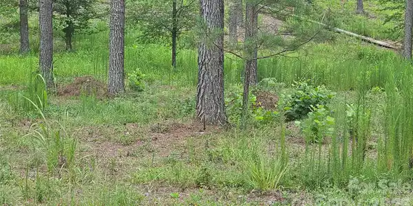 Image 4 Image 4
