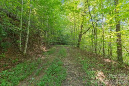 80 Breezewood Drive