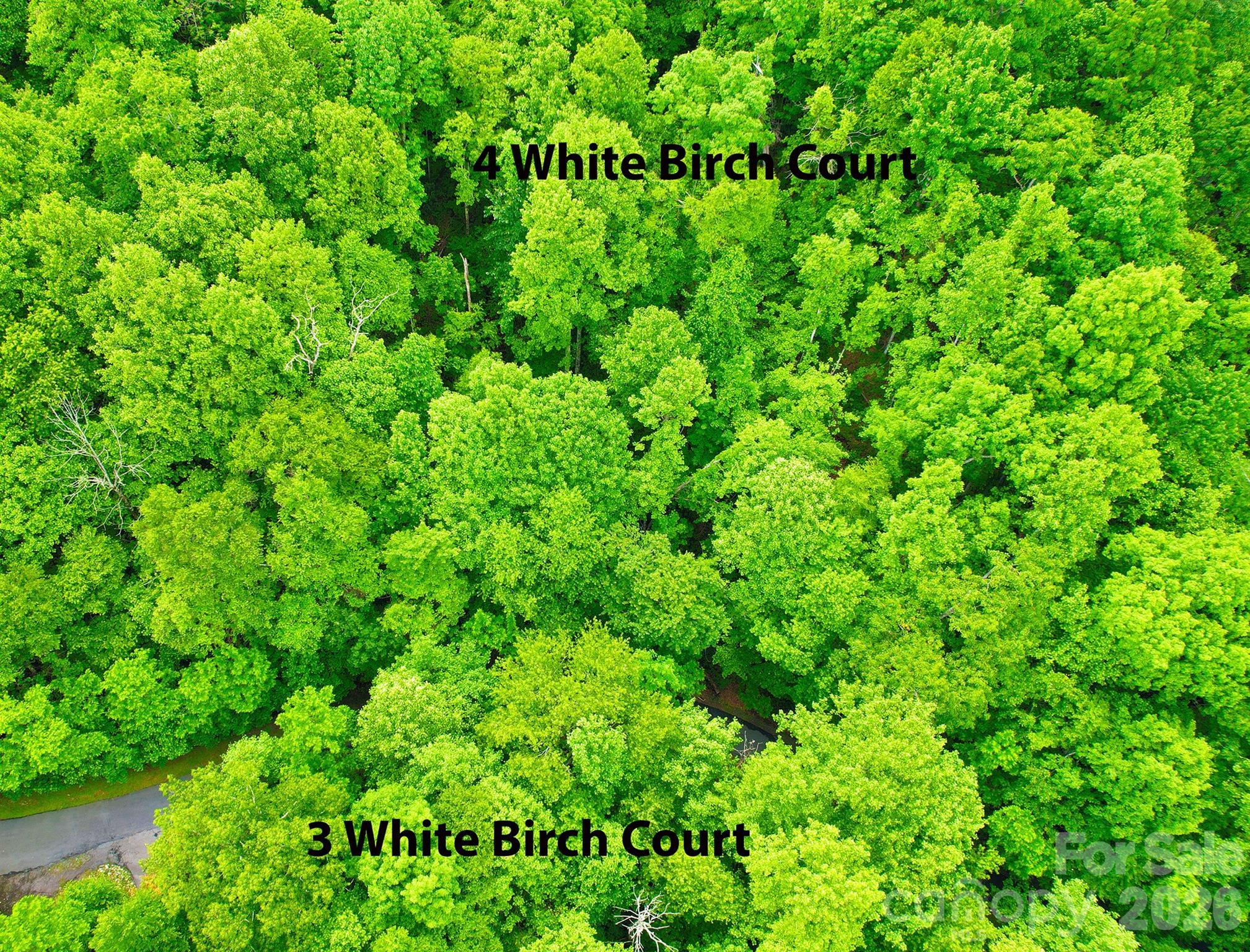 Image 3 Image 3
