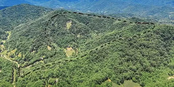 Image 3 Image 3