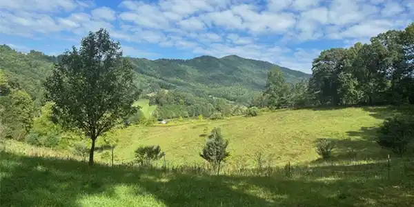 Image 2 Image 2