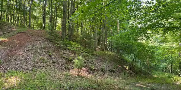 Image 3 Image 3