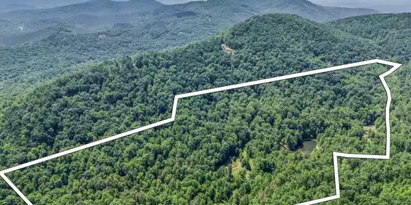 980 Mountain Forest Drive