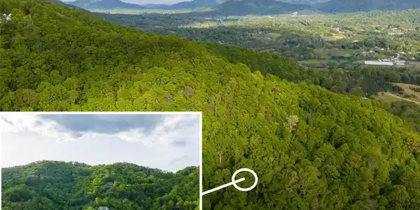 Image 2 Image 2