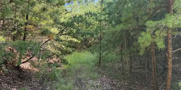 Image 4 Image 4