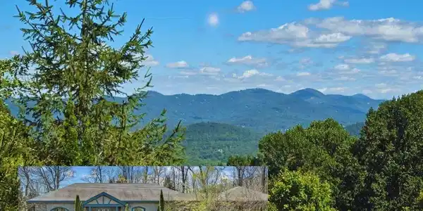 111 Flora Rose Trail