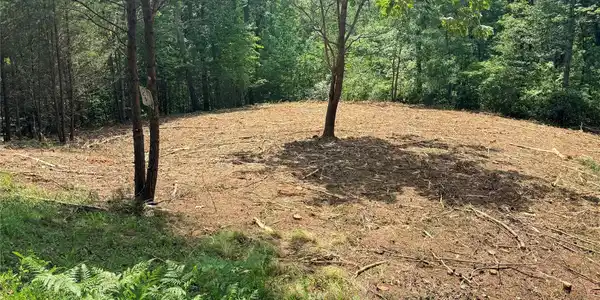 Image 4 Image 4