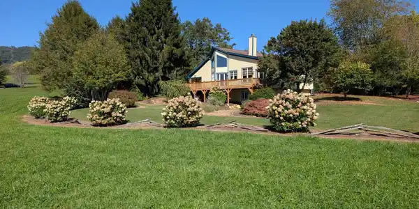 Image 4 Image 4