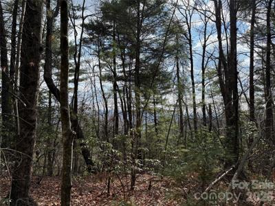 TBD Staghorn Road