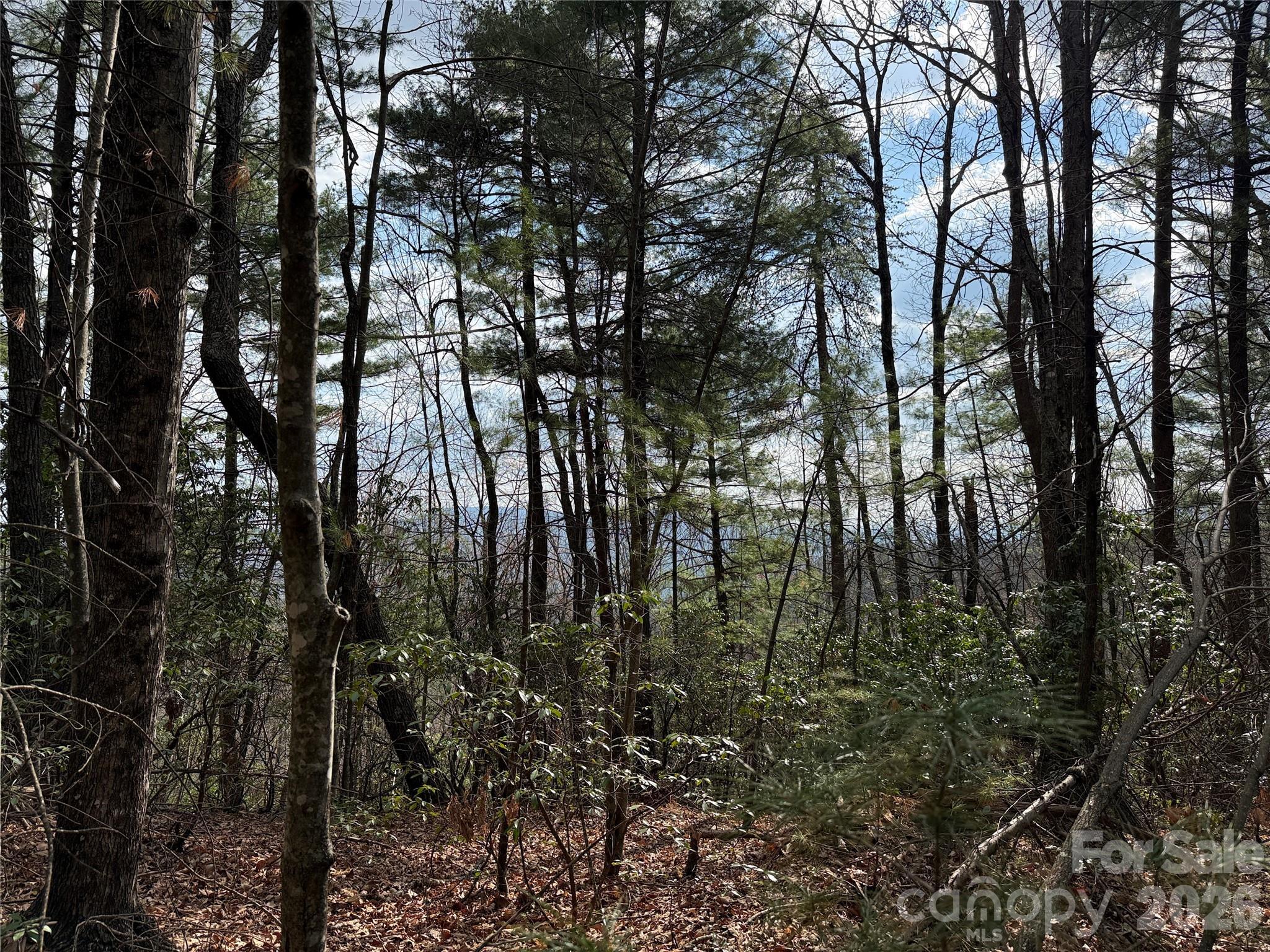Image 1 Image 1