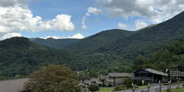 Image 4 Image 4