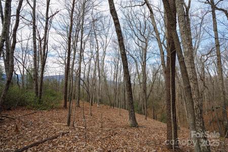 0 Lytle Mountain Road