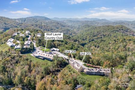 2541 Wolf Laurel Road