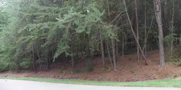 133 Lakewood Court
