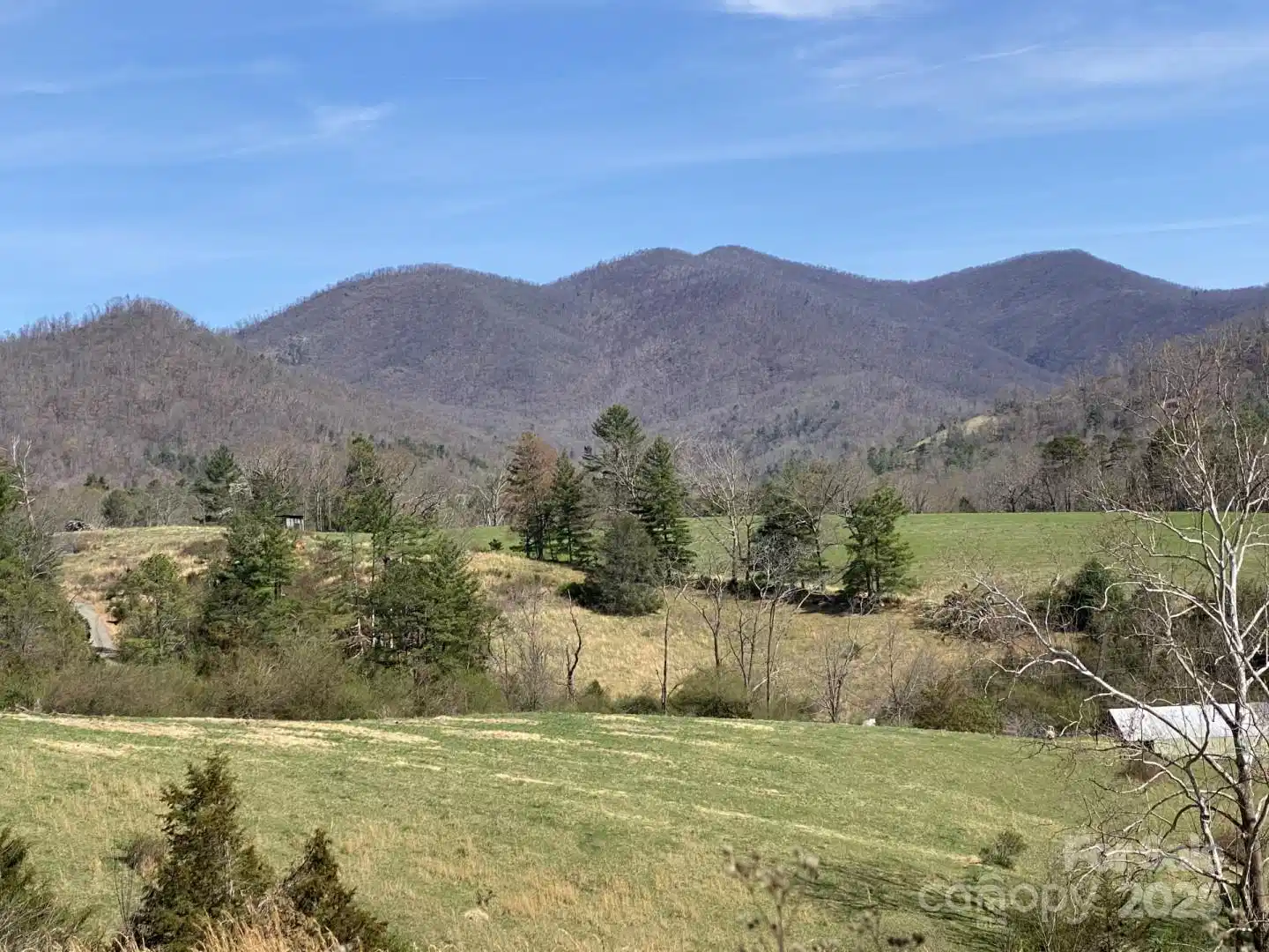 Image 1 Image 1