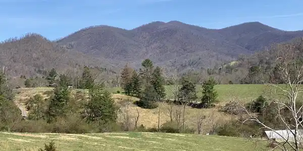 1 Pink Fox Cove Road