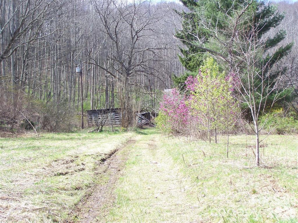 Image 1 Image 1