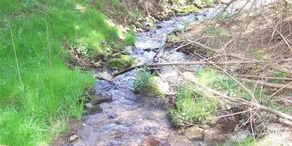 Image 2 Image 2