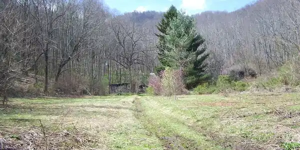 Image 4 Image 4