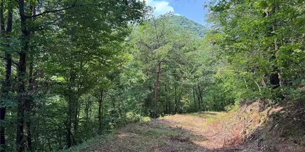 Image 3 Image 3