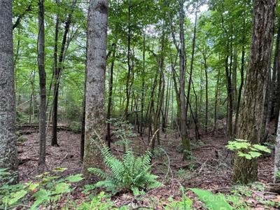 0 Quail Ridge Road