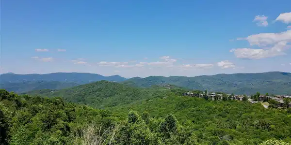 Image 3 Image 3