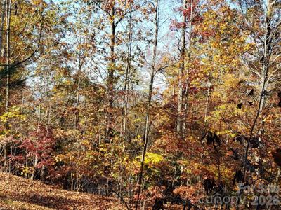 TBD Top Oaks Lane