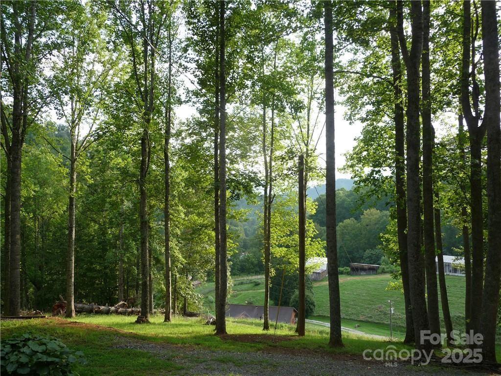 Image 1 Image 1