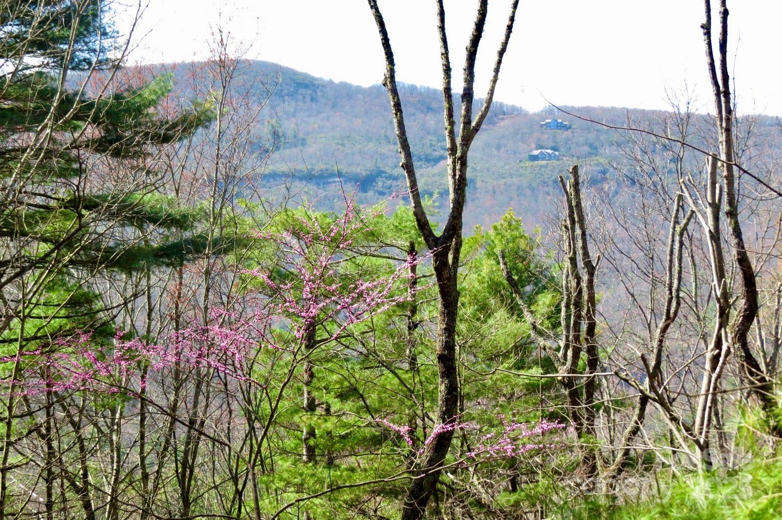 Image 3 Image 3