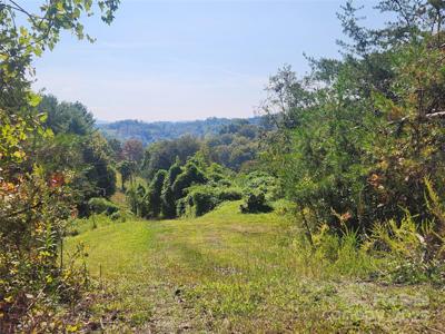 366 Cabin Hollow Drive