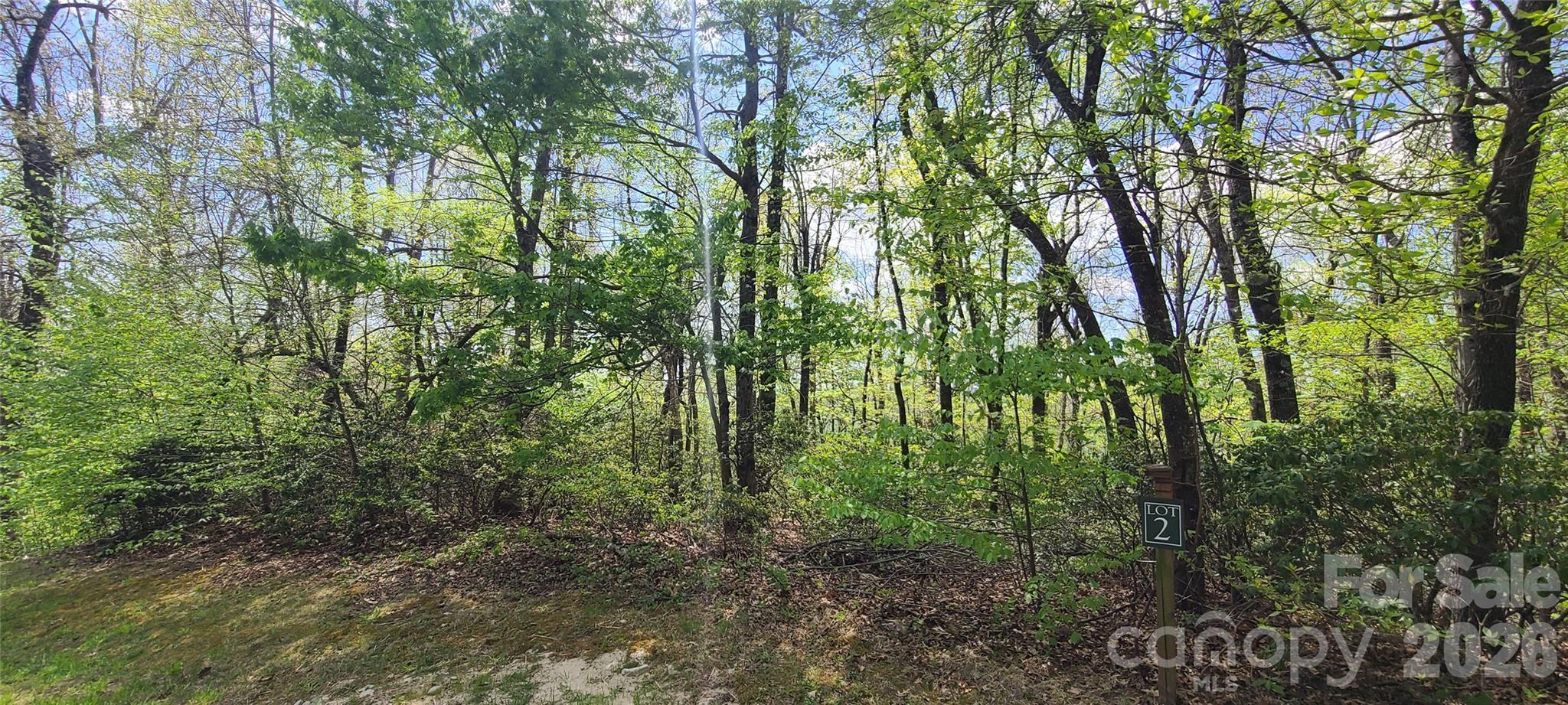 Image 4 Image 4