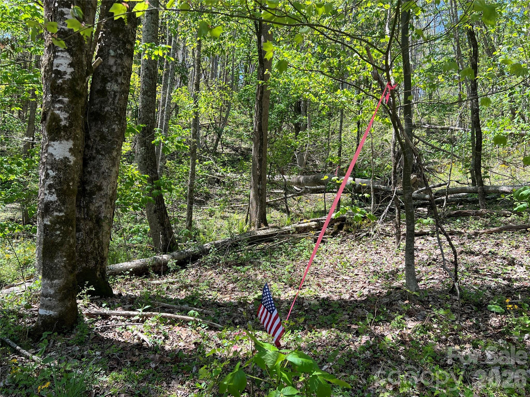 Image 3 Image 3
