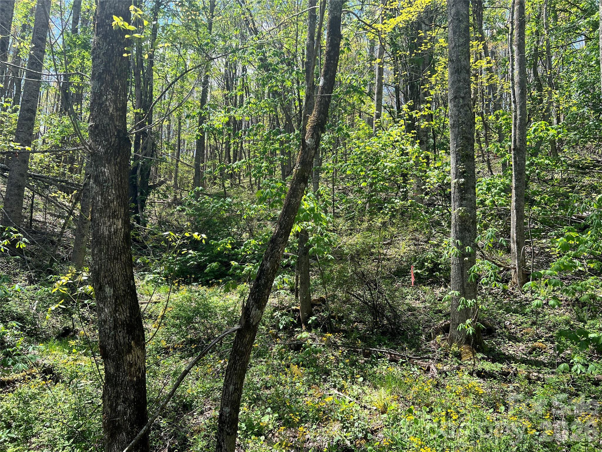 Image 4 Image 4