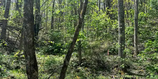 Image 4 Image 4