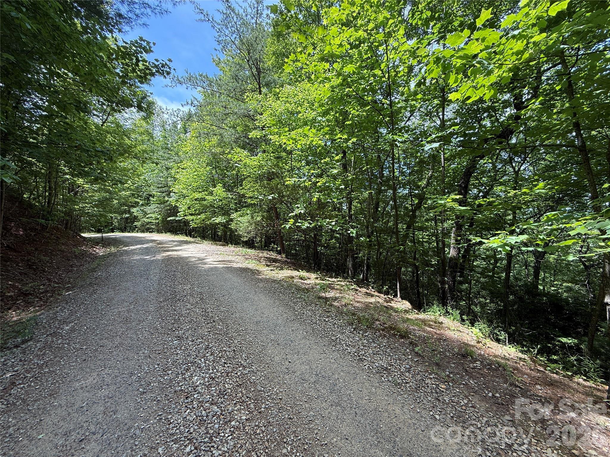 Image 4 Image 4